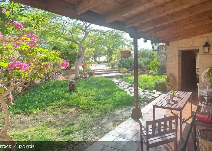 Live San Miguel San Miguel de Abona