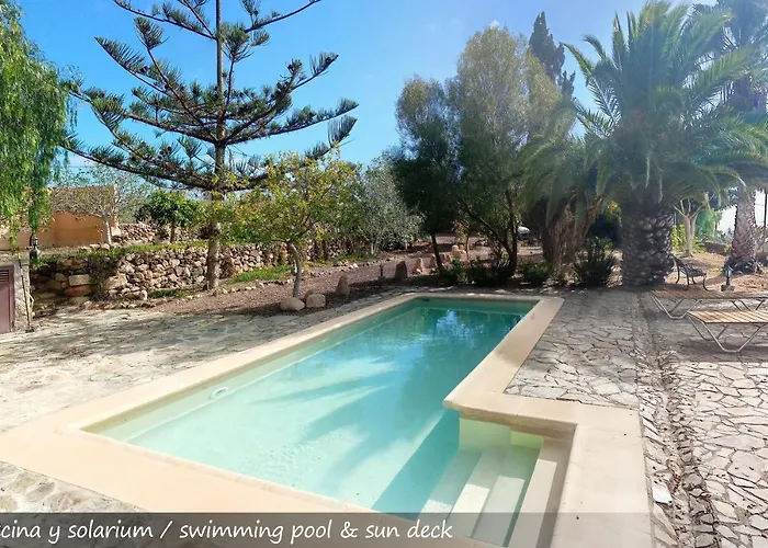 Live San Miguel Dom wakacyjny *