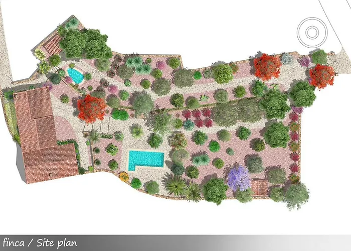 Live San Miguel Dom wakacyjny