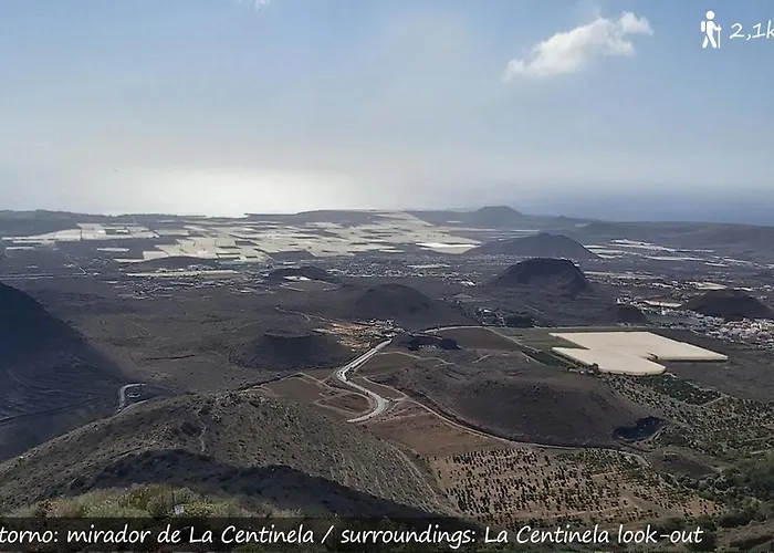 Live San Miguel San Miguel de Abona