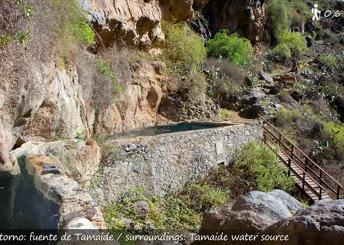 Live San Miguel Dom wakacyjny *