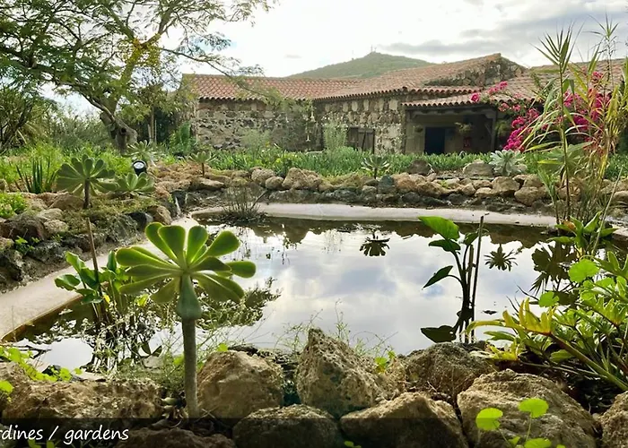 Dom wakacyjny Live San Miguel