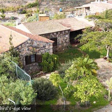 Live San Miguel * San Miguel de Abona