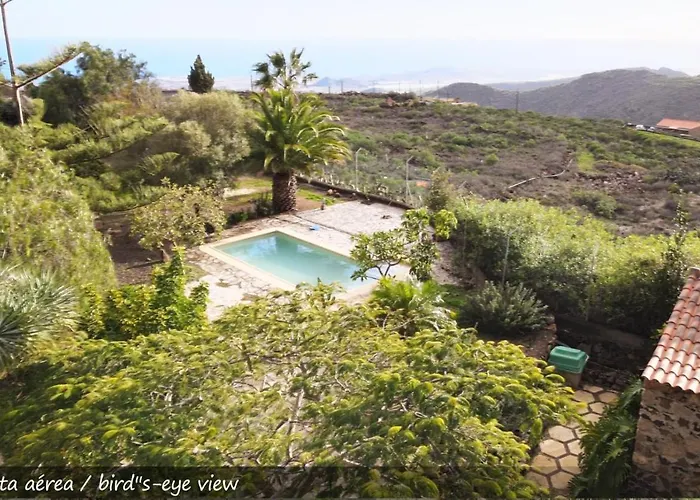 Live San Miguel Nyaraló *